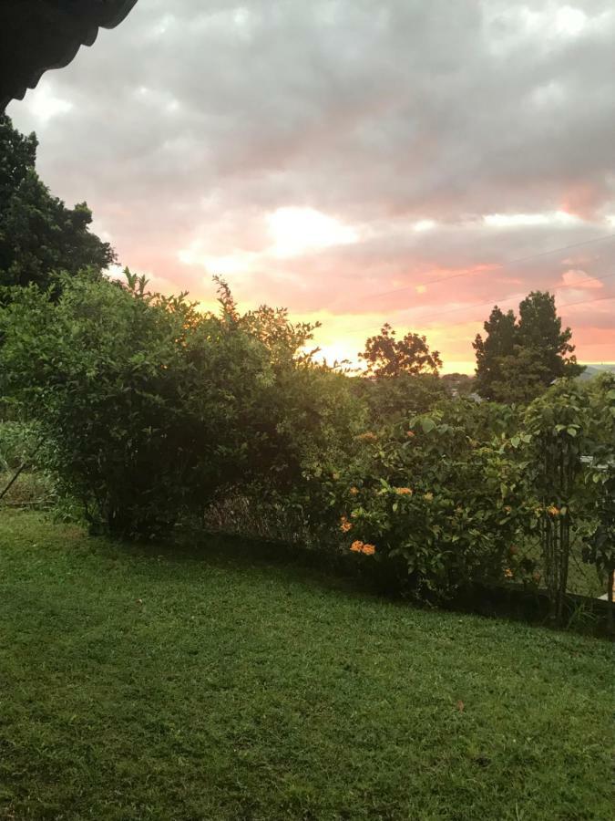 Charmant bungalow au cœur de l’île Baie-Mahault Extérieur photo